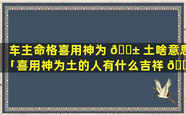 车主命格喜用神为 🐱 土啥意思「喜用神为土的人有什么吉祥 🐧 物」